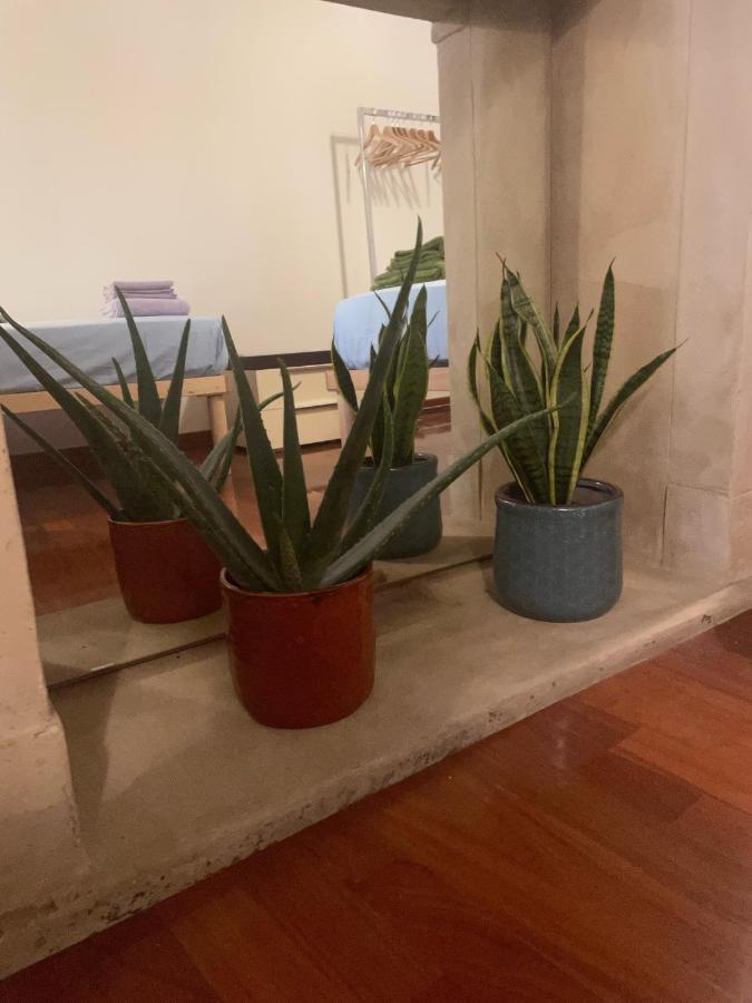 Loft Ponte Pietra Villa เวโรนา ภายนอก รูปภาพ